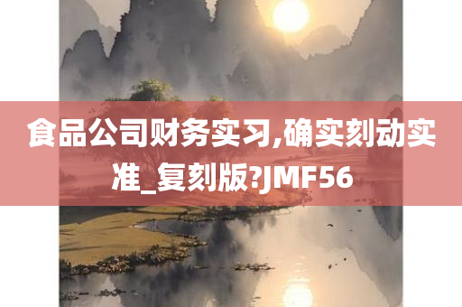 食品公司财务实习,确实刻动实准_复刻版?JMF56