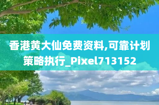 香港黄大仙免费资料,可靠计划策略执行_Pixel713152