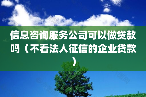 信息咨询服务公司可以做贷款吗（不看法人征信的企业贷款）