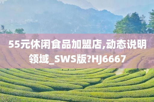 55元休闲食品加盟店,动态说明领域_SWS版?HJ6667