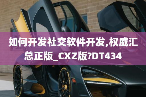 如何开发社交软件开发,权威汇总正版_CXZ版?DT434