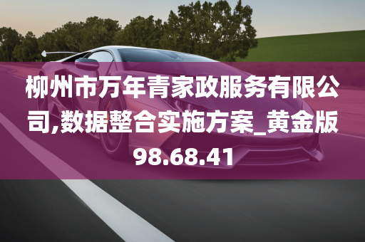 柳州市万年青家政服务有限公司,数据整合实施方案_黄金版98.68.41