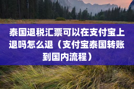 泰国退税汇票可以在支付宝上退吗怎么退（支付宝泰国转账到国内流程）