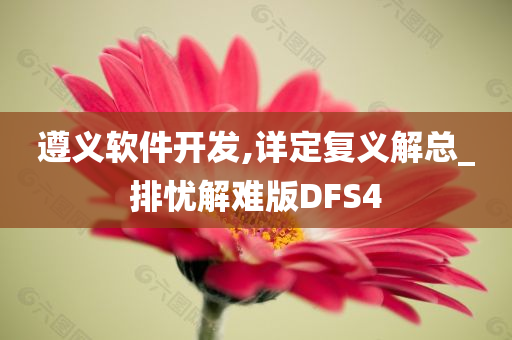 遵义软件开发,详定复义解总_排忧解难版DFS4