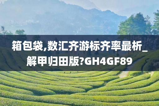 箱包袋,数汇齐游标齐率最析_解甲归田版?GH4GF89