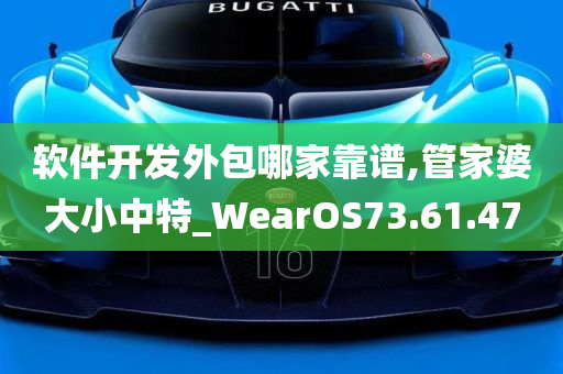 软件开发外包哪家靠谱,管家婆大小中特_WearOS73.61.47