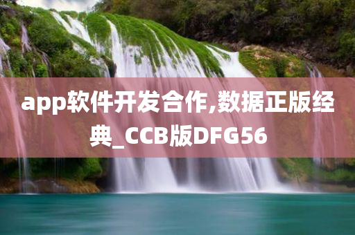 app软件开发合作,数据正版经典_CCB版DFG56