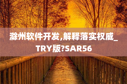 滁州软件开发,解释落实权威_TRY版?SAR56