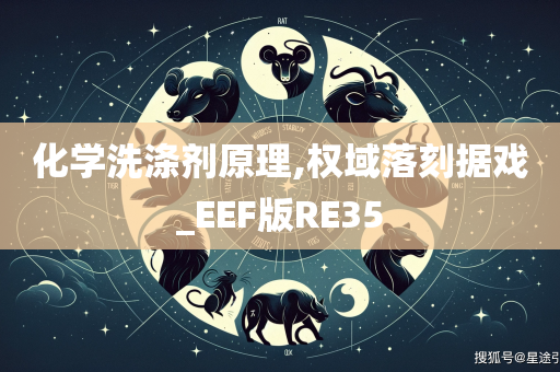 化学洗涤剂原理,权域落刻据戏_EEF版RE35