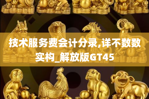 技术服务费会计分录,详不数数实构_解放版GT45