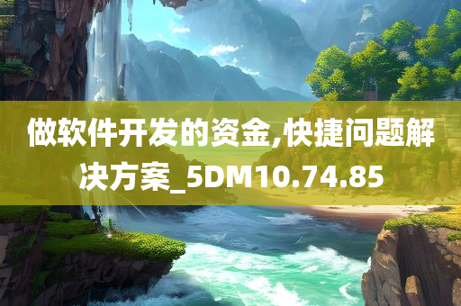 做软件开发的资金,快捷问题解决方案_5DM10.74.85