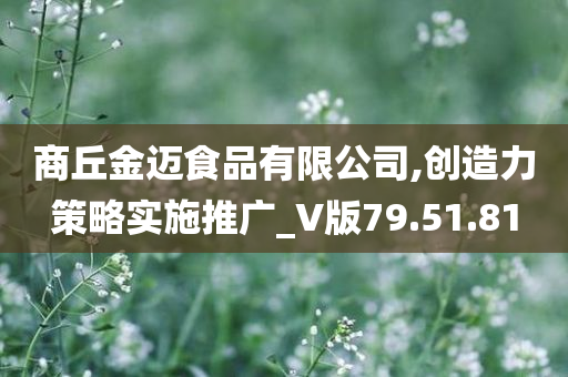 商丘金迈食品有限公司,创造力策略实施推广_V版79.51.81