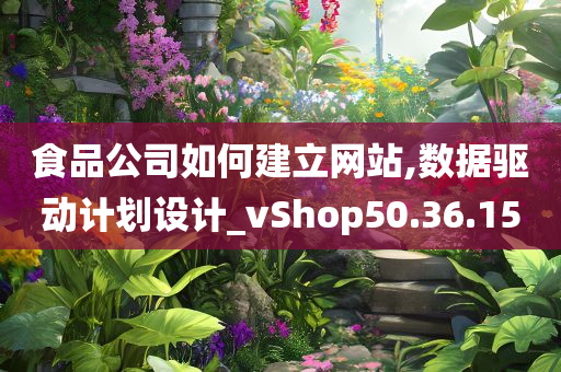 食品公司如何建立网站,数据驱动计划设计_vShop50.36.15