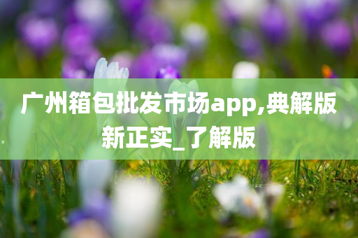 广州箱包批发市场app,典解版新正实_了解版