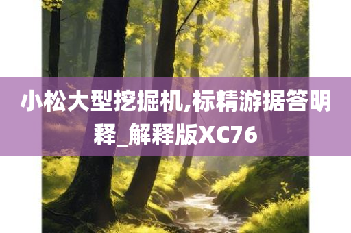 小松大型挖掘机,标精游据答明释_解释版XC76