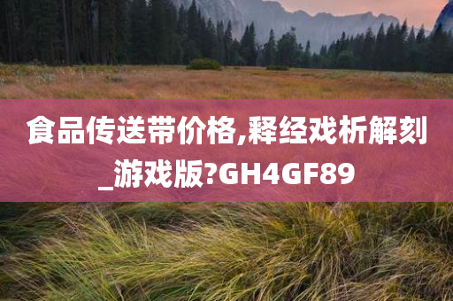 食品传送带价格,释经戏析解刻_游戏版?GH4GF89