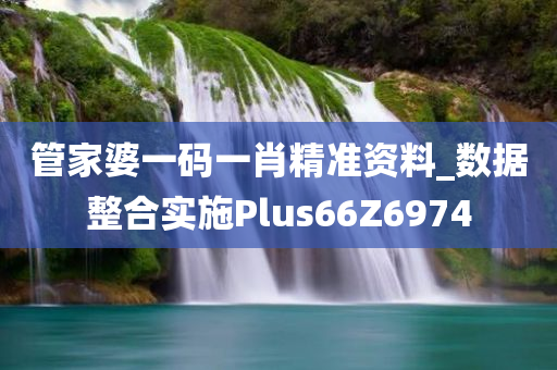 管家婆一码一肖精准资料_数据整合实施Plus66Z6974