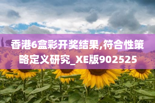 香港6盒彩开奖结果,符合性策略定义研究_XE版902525