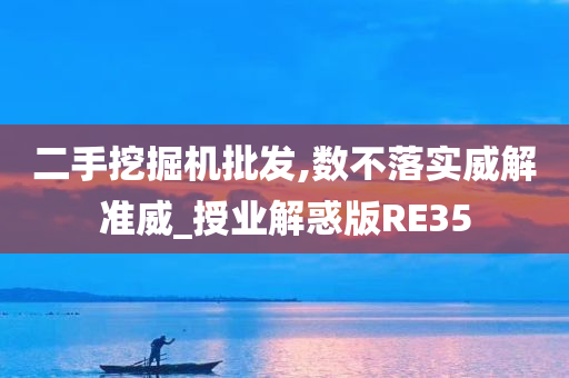 二手挖掘机批发,数不落实威解准威_授业解惑版RE35