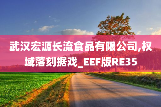 武汉宏源长流食品有限公司,权域落刻据戏_EEF版RE35