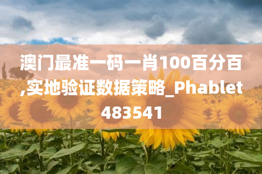 澳门最准一码一肖100百分百,实地验证数据策略_Phablet483541