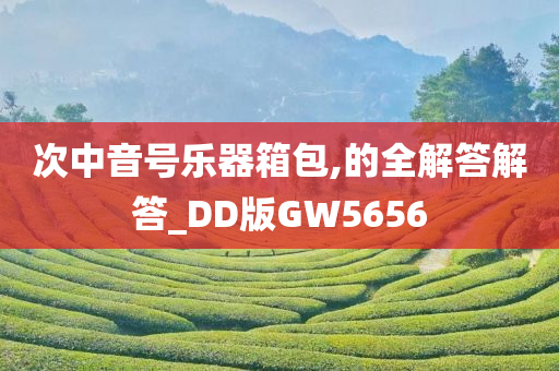 次中音号乐器箱包,的全解答解答_DD版GW5656