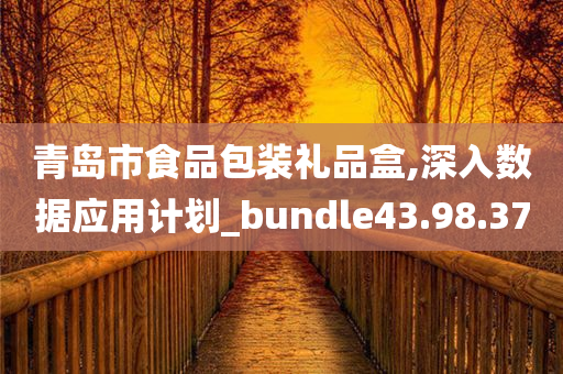 青岛市食品包装礼品盒,深入数据应用计划_bundle43.98.37