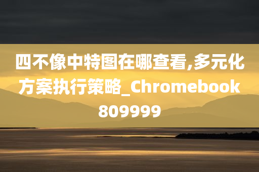 四不像中特图在哪查看,多元化方案执行策略_Chromebook809999