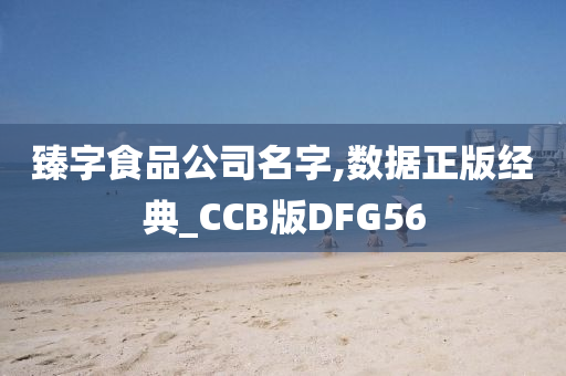 臻字食品公司名字,数据正版经典_CCB版DFG56