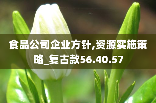 食品公司企业方针,资源实施策略_复古款56.40.57