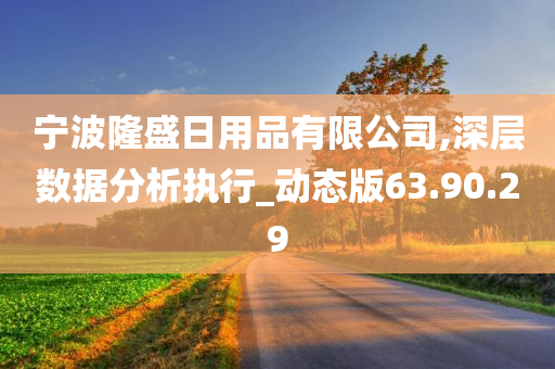 宁波隆盛日用品有限公司,深层数据分析执行_动态版63.90.29