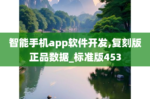 智能手机app软件开发,复刻版正品数据_标准版453