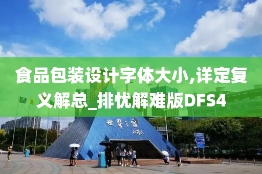 食品包装设计字体大小,详定复义解总_排忧解难版DFS4