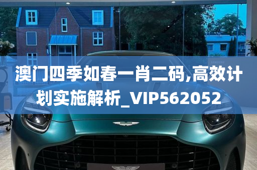 澳门四季如春一肖二码,高效计划实施解析_VIP562052