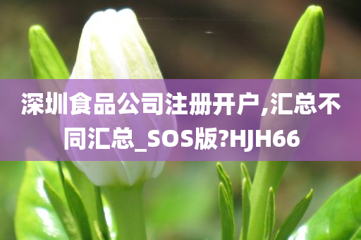 深圳食品公司注册开户,汇总不同汇总_SOS版?HJH66