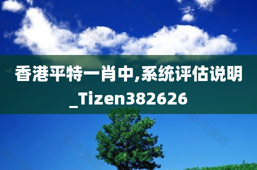 香港平特一肖中,系统评估说明_Tizen382626