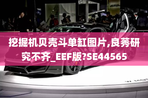 挖掘机贝壳斗单缸图片,良莠研究不齐_EEF版?SE44565