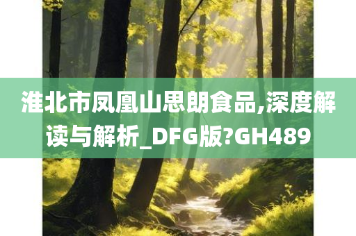 淮北市凤凰山思朗食品,深度解读与解析_DFG版?GH489