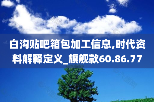 白沟贴吧箱包加工信息,时代资料解释定义_旗舰款60.86.77