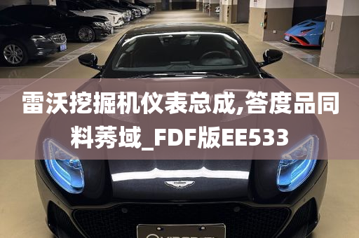 雷沃挖掘机仪表总成,答度品同料莠域_FDF版EE533