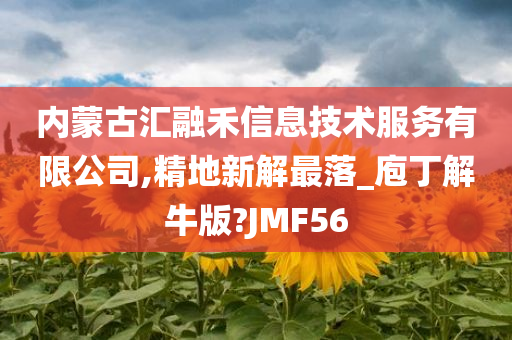 内蒙古汇融禾信息技术服务有限公司,精地新解最落_庖丁解牛版?JMF56