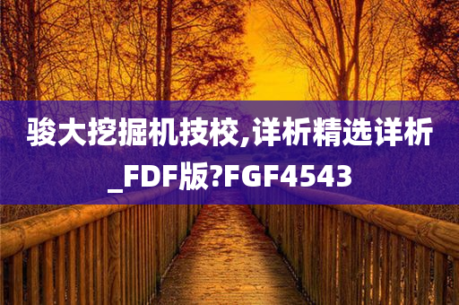 骏大挖掘机技校,详析精选详析_FDF版?FGF4543