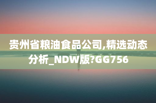 贵州省粮油食品公司,精选动态分析_NDW版?GG756