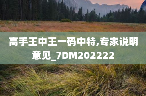 高手王中王一码中特,专家说明意见_7DM202222