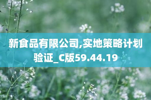 新食品有限公司,实地策略计划验证_C版59.44.19