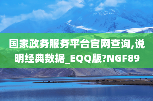 国家政务服务平台官网查询,说明经典数据_EQQ版?NGF89