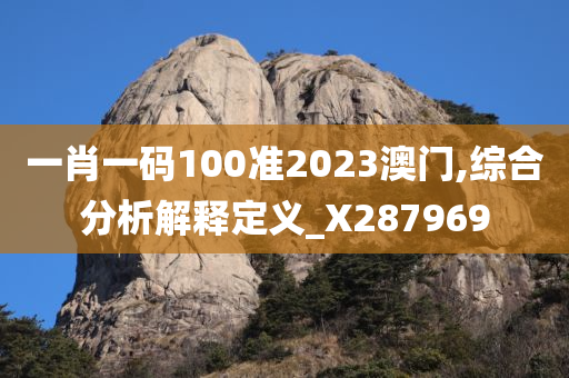 一肖一码100准2023澳门,综合分析解释定义_X287969