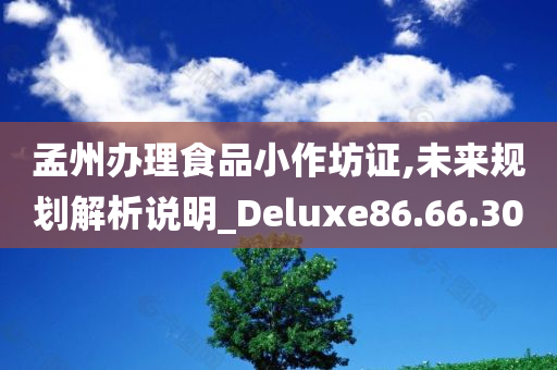 孟州办理食品小作坊证,未来规划解析说明_Deluxe86.66.30