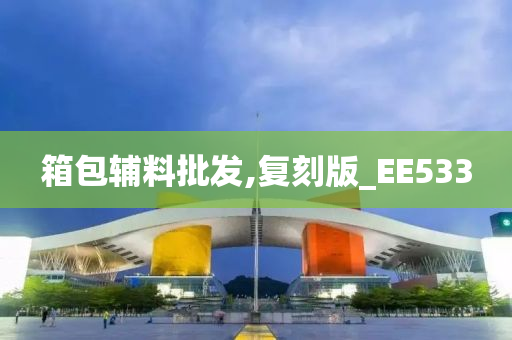 箱包辅料批发,复刻版_EE533