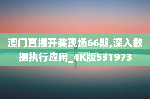 澳门直播开奖现场66期,深入数据执行应用_4K版531973